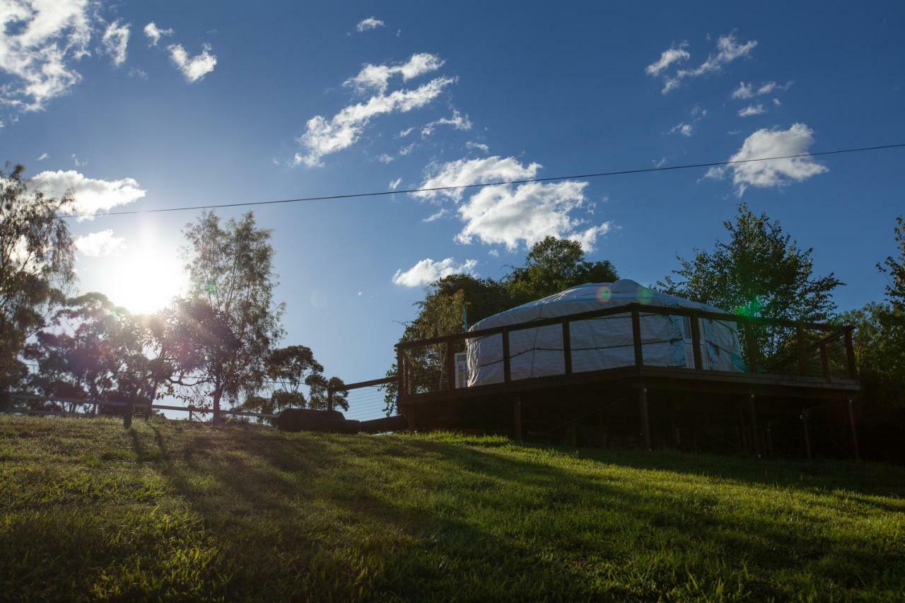 Awesome Glamping Gold Coast Hinterland Otel Advancetown Dış mekan fotoğraf