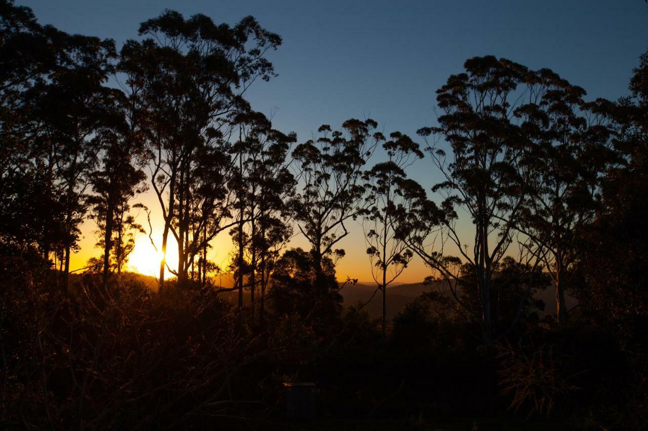 Awesome Glamping Gold Coast Hinterland Otel Advancetown Dış mekan fotoğraf